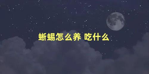 蜥蜴怎么养 吃什么